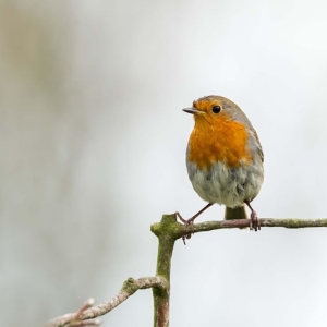 Untitled (113 Of 118).jpg